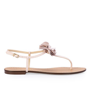 SAND&Aacute;LIA RASTEIRA COURO FLOR ROSA