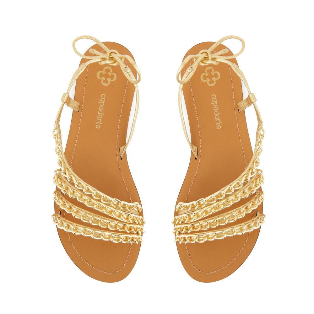 RASTEIRA DOURADA CORRENTES image number 4